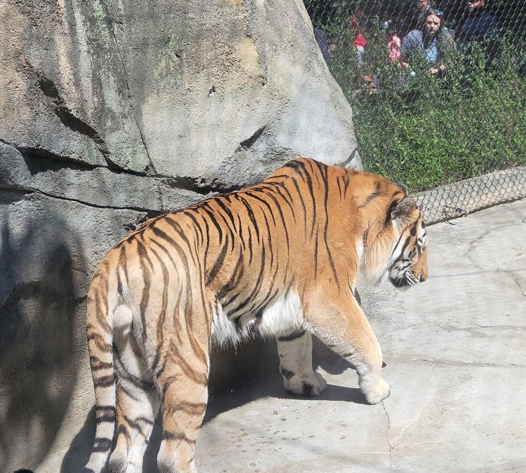 indianapolis-zoo-photo